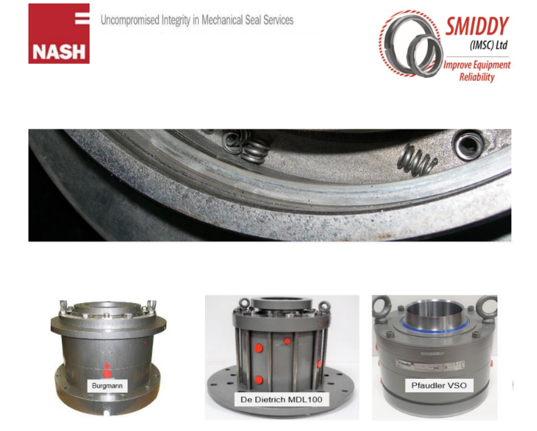 NASH Specialised Seal Repair Services Article
